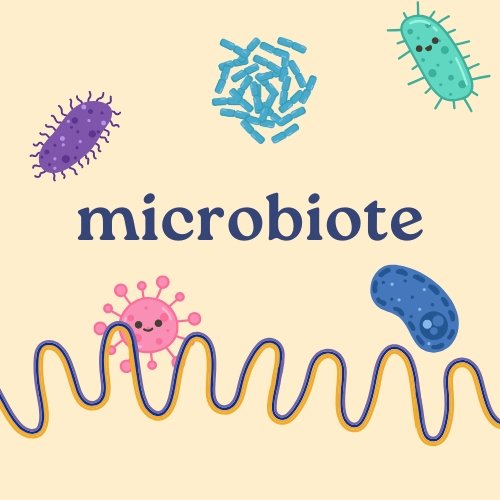 5 conseils pour prendre soin de son microbiote